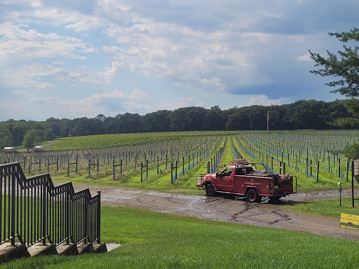 Winery «Laurita Winery», reviews and photos, 85 Archertown Rd, New Egypt, NJ 08533, USA