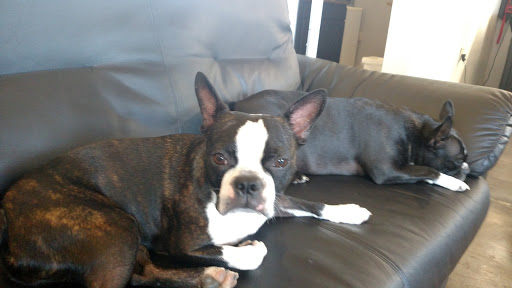 411 Roseville Square, Roseville, CA 95678, USA