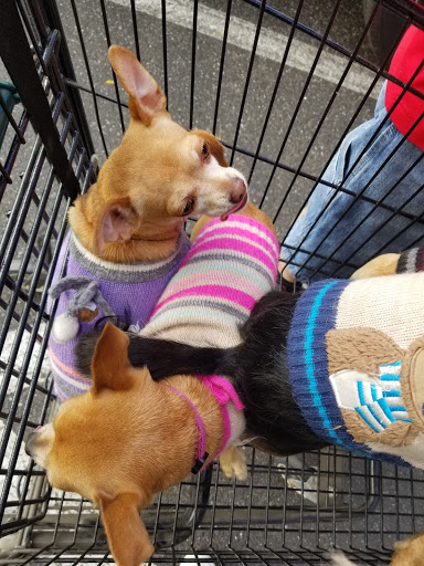 Pet Supply Store «The Natural Pet Outlet», reviews and photos, 3380 Fairfield Ave, Bridgeport, CT 06605, USA