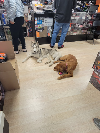 Hobby Store «RC Car World - Hobby Shop + Tracks», reviews and photos, 4340 US-130, Willingboro, NJ 08046, USA