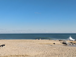 Photo de Platja de la Riera zone des équipements