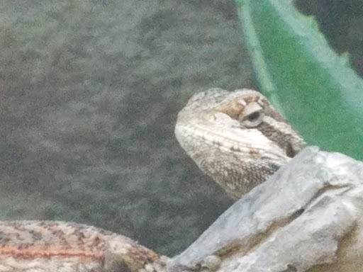 Pet Supply Store «Petco Animal Supplies», reviews and photos, 5843 N Elizabeth St, Pueblo, CO 81008, USA