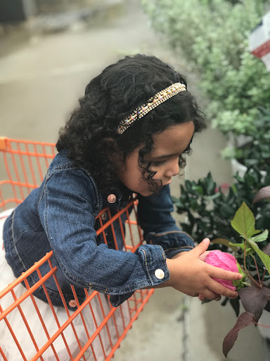 Home Improvement Store «The Home Depot», reviews and photos, 4710 S Expressway 83, Harlingen, TX 78552, USA