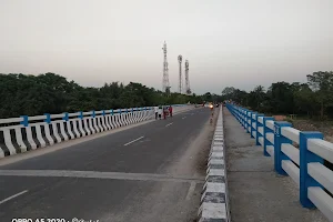 Pagliganj Bridge image