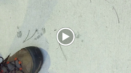 Performing Arts Theater «Sunrise Civic Center Theatre and Art Gallery», reviews and photos, 10610 W Oakland Park Blvd, Sunrise, FL 33351, USA