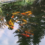 Photo n°9 de l'avis de Sven.r fait le 20/10/2020 à 17:23 sur le  Antik Hotel The Cottage à Rathenow