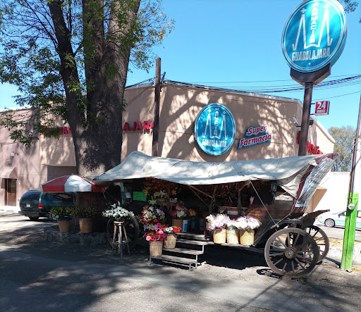 Florería La Carreta – Tulancingo