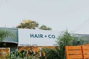 HAIR + CO image