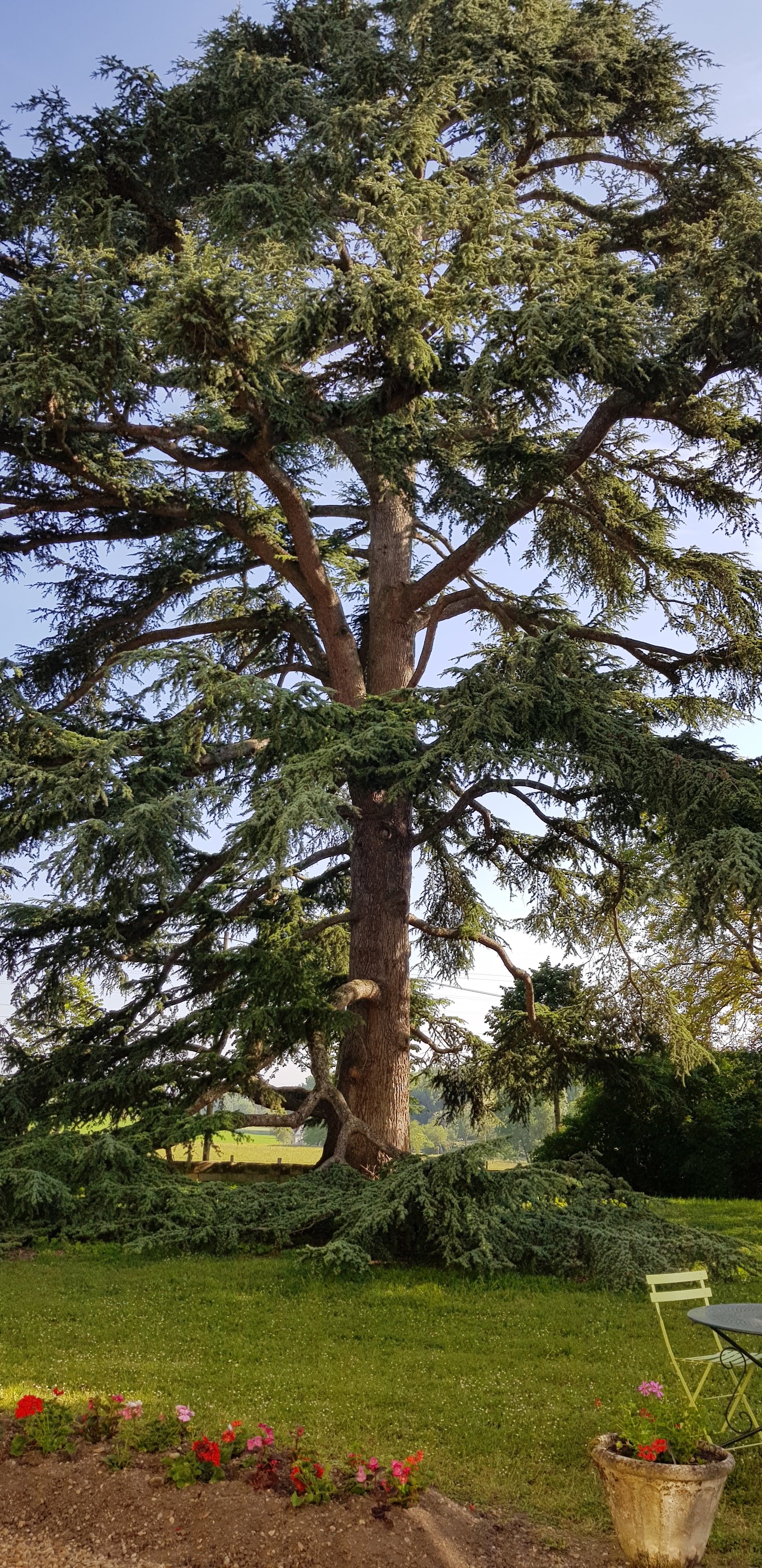 Photo n° 25 de l'avis de Olga.E fait le 19/05/2018 à 20:02