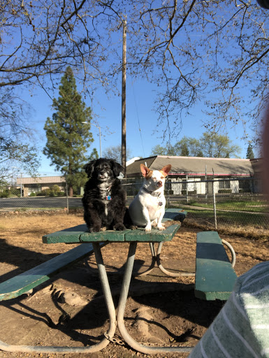 Carmichael Canine Corral Association