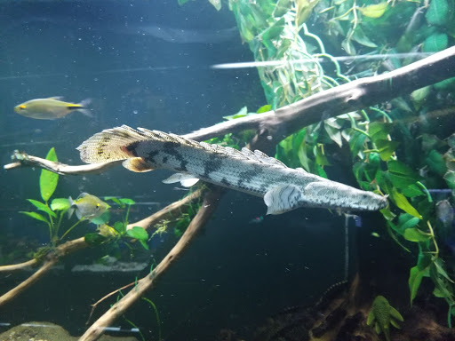 Pet Store «Fin-N-Feather», reviews and photos, 2931 F St, Eureka, CA 95501, USA