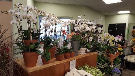 Supermarket «King Kullen», reviews and photos, 2044 Montauk Hwy, Bridgehampton, NY 11932, USA