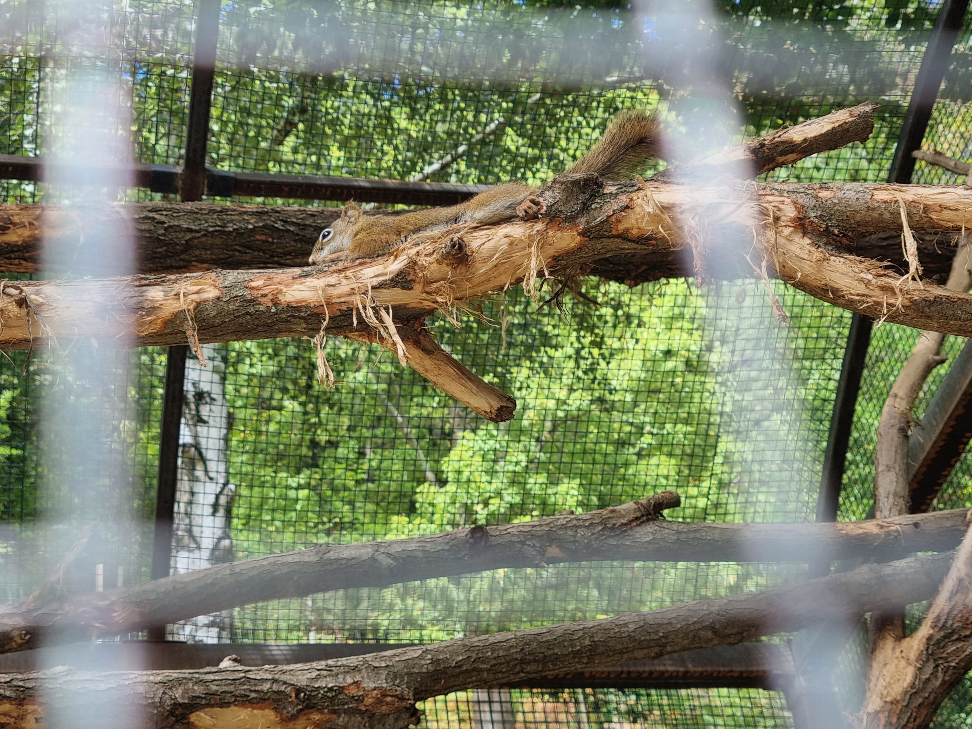 Photo n° 9 de l'avis de alexandre.o fait le 25/08/2022 à 15:51