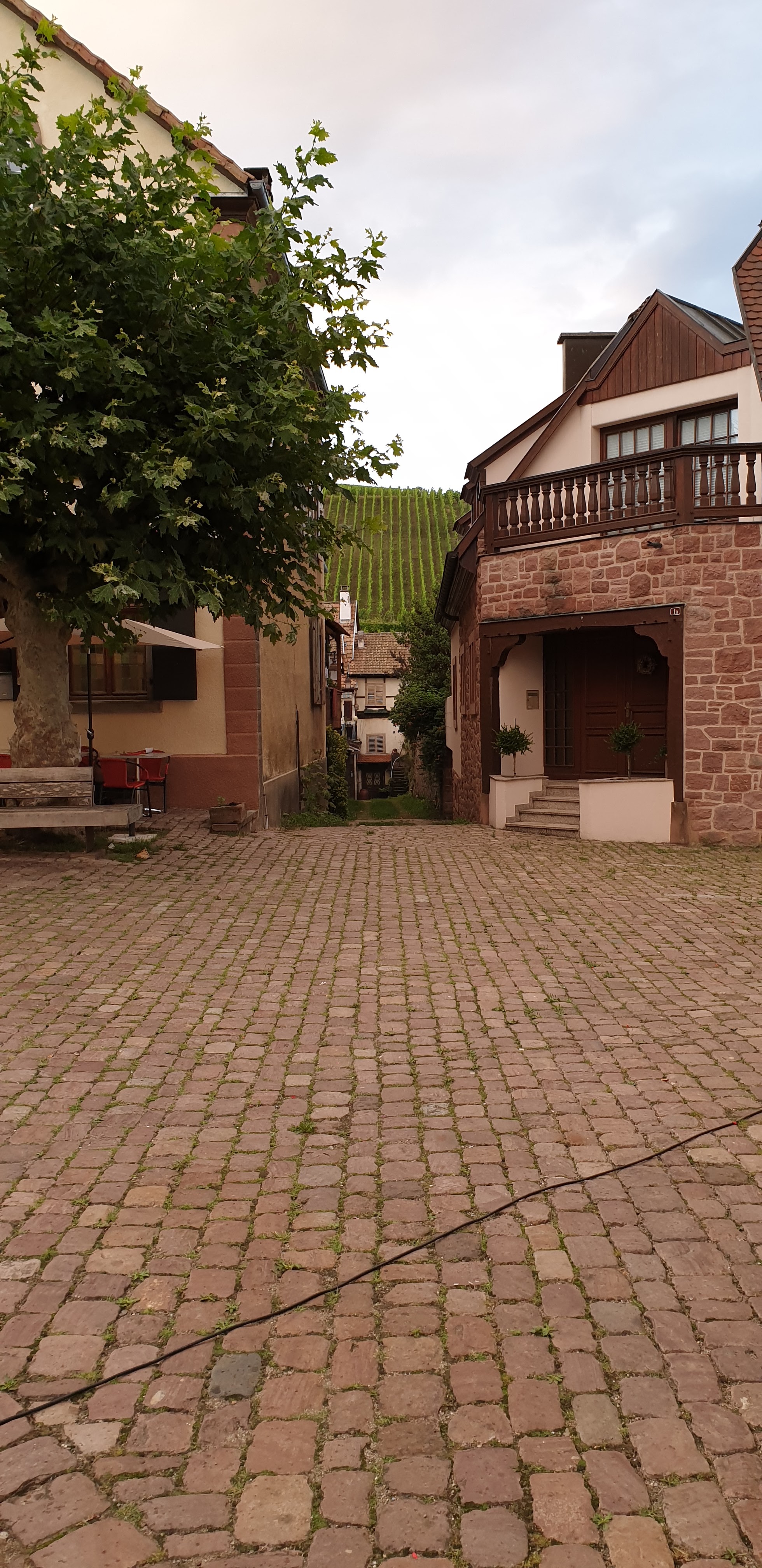 Photo n° 23 de l'avis de Barbara.e fait le 14/08/2019 à 21:56