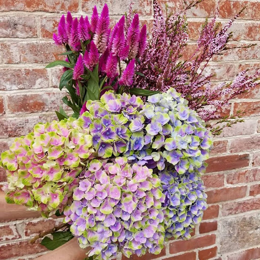 Florist «Williams Flower Shop», reviews and photos, 16 S Main St, Mt Vernon, OH 43050, USA