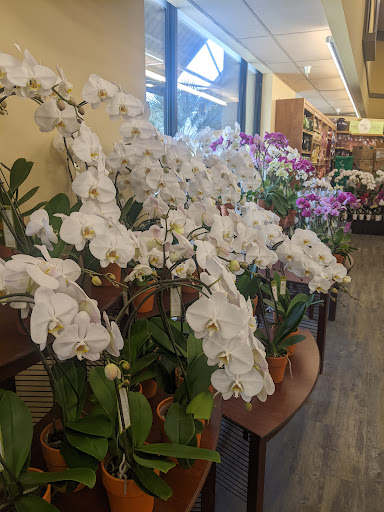 Grocery Store «Safeway», reviews and photos, 2111 Mission St, Santa Cruz, CA 95060, USA