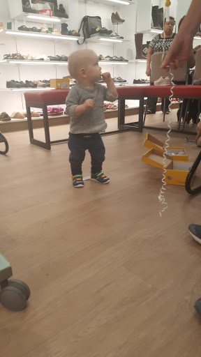 Shoe Store «Alamo Shoes», reviews and photos, 5321 N Clark St, Chicago, IL 60640, USA