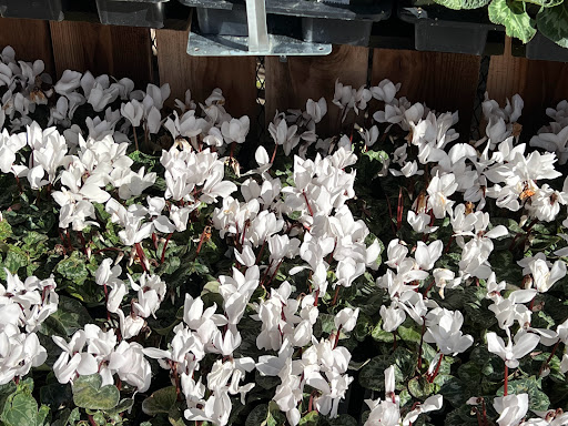 Home Improvement Store «The Home Depot», reviews and photos, 2750 Crow Canyon Rd, San Ramon, CA 94583, USA