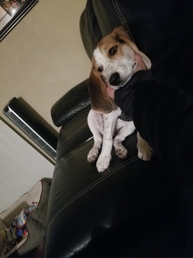 Pet Supply Store «Pet Pros», reviews and photos, 13402 Bothell Everett Hwy, Mill Creek, WA 98012, USA