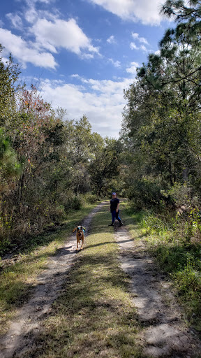 Nature Preserve «Triple Creek Nature Preserve», reviews and photos, 13112 Balm Boyette Rd, Riverview, FL 33579, USA