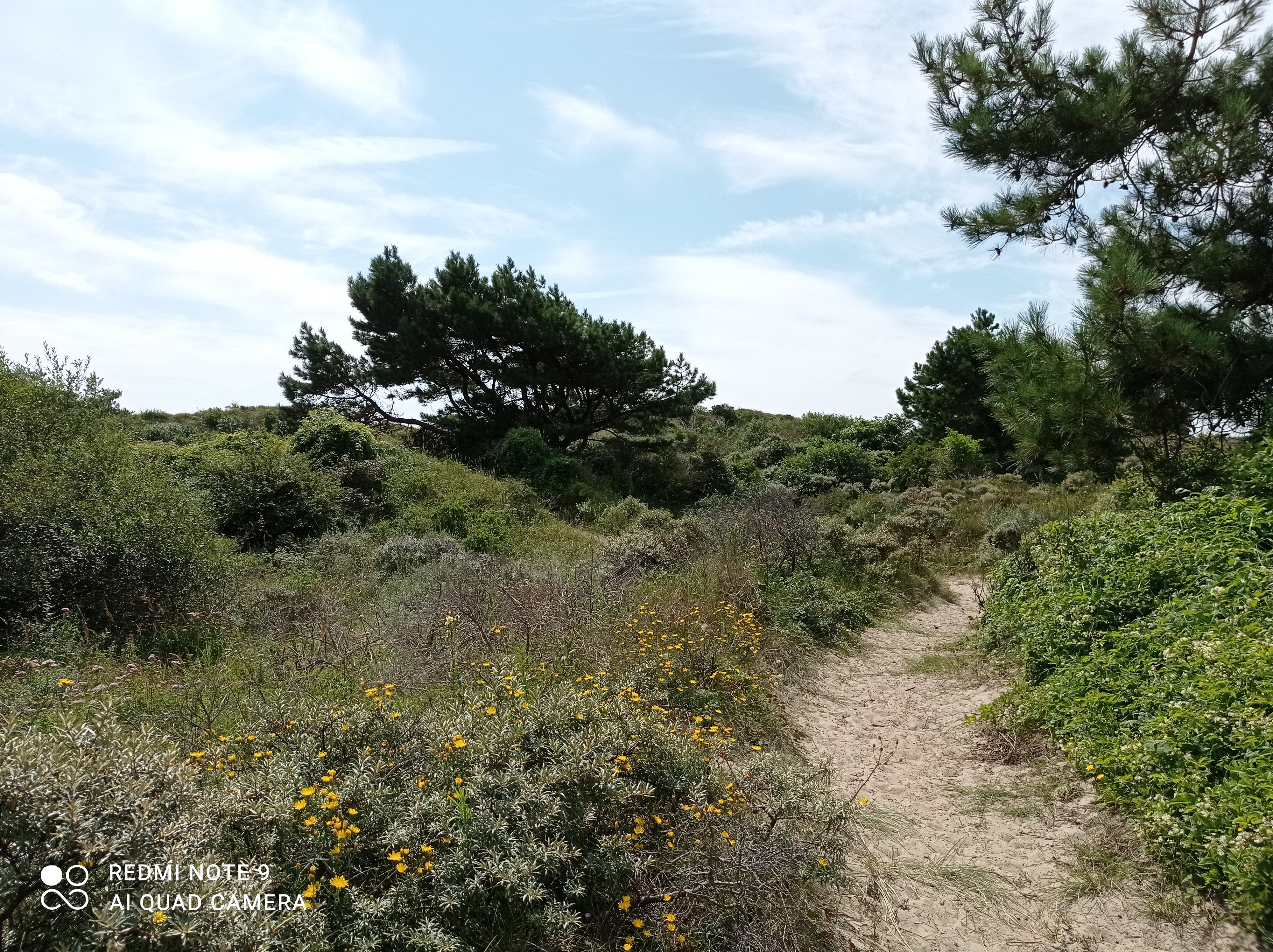 Photo n° 5 de l'avis de Michael.u fait le 15/08/2021 à 18:06