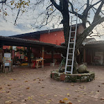 Photo n°9 de l'avis de Desirèe.a fait le 08/12/2022 à 17:17 sur le  Farm Nonna Luisa à Ferentino