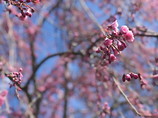 Golf Course «Whitney Farms Golf Course», reviews and photos, 175 Shelton Rd, Monroe, CT 06468, USA