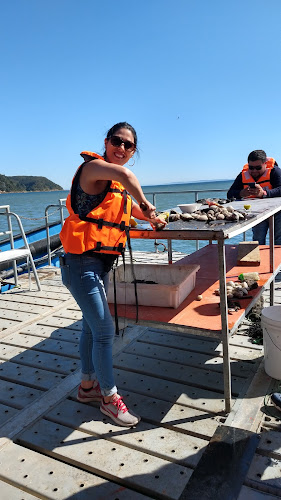 Balsa Turística Llico Paraíso - Restaurante