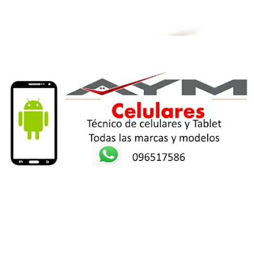 Servicio Técnico Celulares A y M celulares - Tranqueras