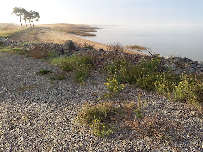 Plage De La Pierre A l'Oeil à Corsept