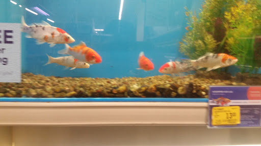 Pet Supply Store «PetSmart», reviews and photos, 5 Mystic View Rd, Everett, MA 02149, USA