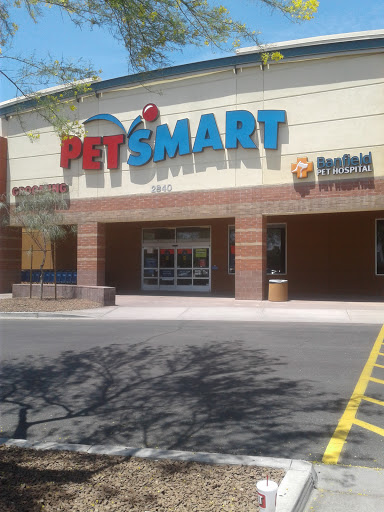 Pet Supply Store «PetSmart», reviews and photos, 2840 W Chandler Blvd, Chandler, AZ 85224, USA