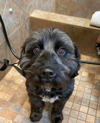 Pet Store «Pet Valu», reviews and photos, 2660 Egypt Rd, Norristown, PA 19403, USA