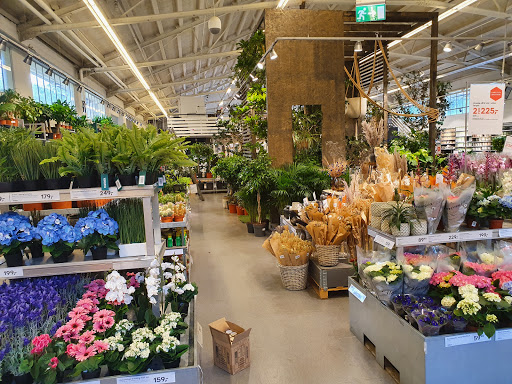 Florist courses online Oslo