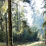 Photo n°3 de l'avis de Yasmine.a fait le 10/10/2020 à 15:13 sur le  Bocksberghütte Hahnenklee à Goslar