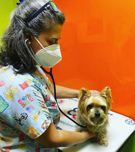 Clínica Veterinaria Montornés en Montornès del Vallès