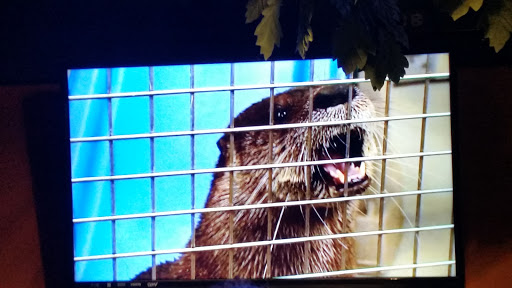 Aquarium «North Carolina Aquarium at Pine Knoll Shores», reviews and photos, 1 Roosevelt Blvd, Pine Knoll Shores, NC 28512, USA