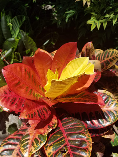 Zoo «Belle Isle Nature Center», reviews and photos, 176 Lakeside Dr, Detroit, MI 48207, USA