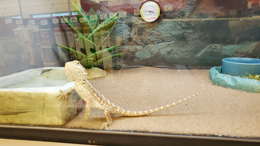 Pet Supply Store «Petco Animal Supplies», reviews and photos, 200 Center Blvd S, Christiana, DE 19702, USA