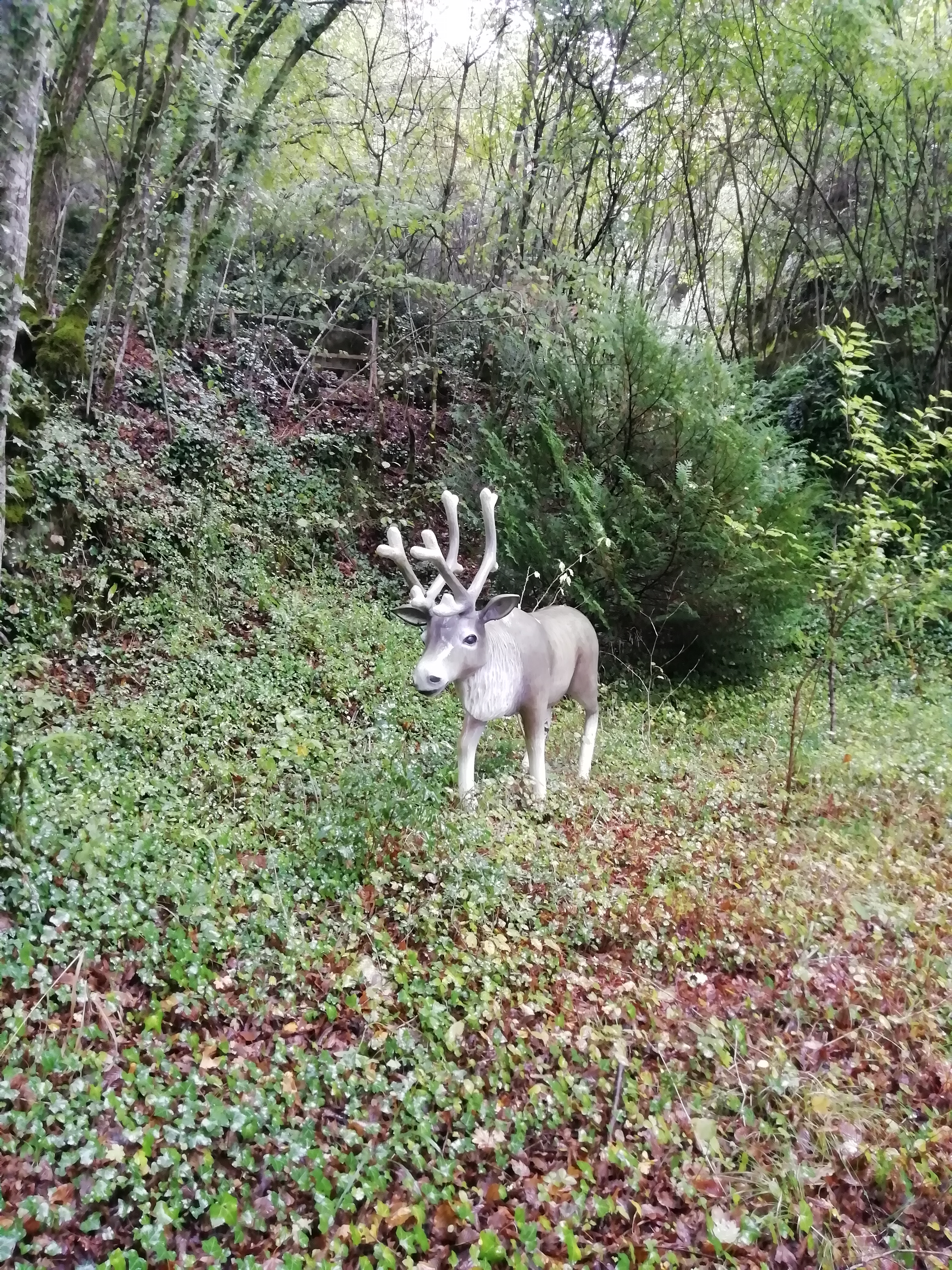 Photo n° 3 de l'avis de Laure.a fait le 17/10/2019 à 21:16
