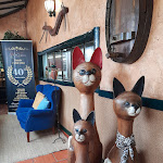 Photo n°1 de l'avis de Mafalda.i fait le 19/08/2022 à 09:33 sur le  O Gato à Malveira