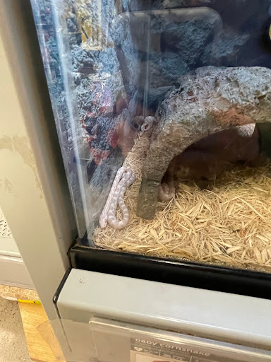 Pet Supply Store «Petco Animal Supplies», reviews and photos, 5994 Montana Ave, El Paso, TX 79925, USA