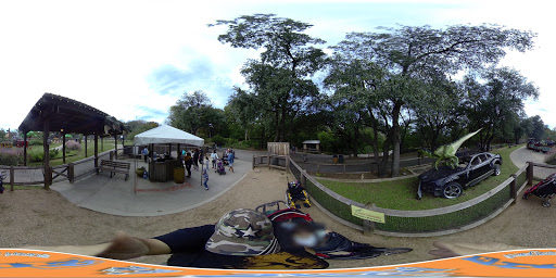 Transit Stop «Dallas Zoo Station», reviews and photos, 614 S. Ewing Avenue, Dallas, TX 75203, USA