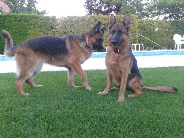 Clínica Veterinaria Empedrada 5