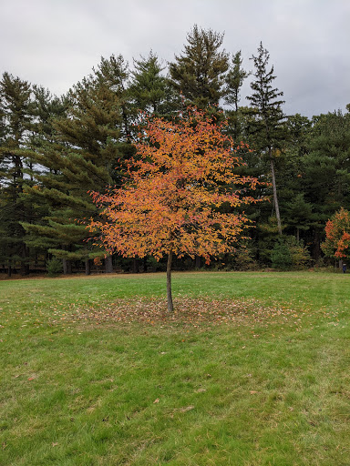 Park «Hart`s Brook Park and Preserve», reviews and photos, 156 Ridge Rd, Hartsdale, NY 10530, USA