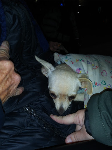 Non-Profit Organization «Urban Ministries of Durham», reviews and photos