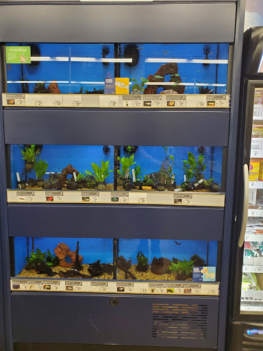 Pet Supply Store «Petco Animal Supplies», reviews and photos, 664 New Loudon Rd #240, Latham, NY 12110, USA