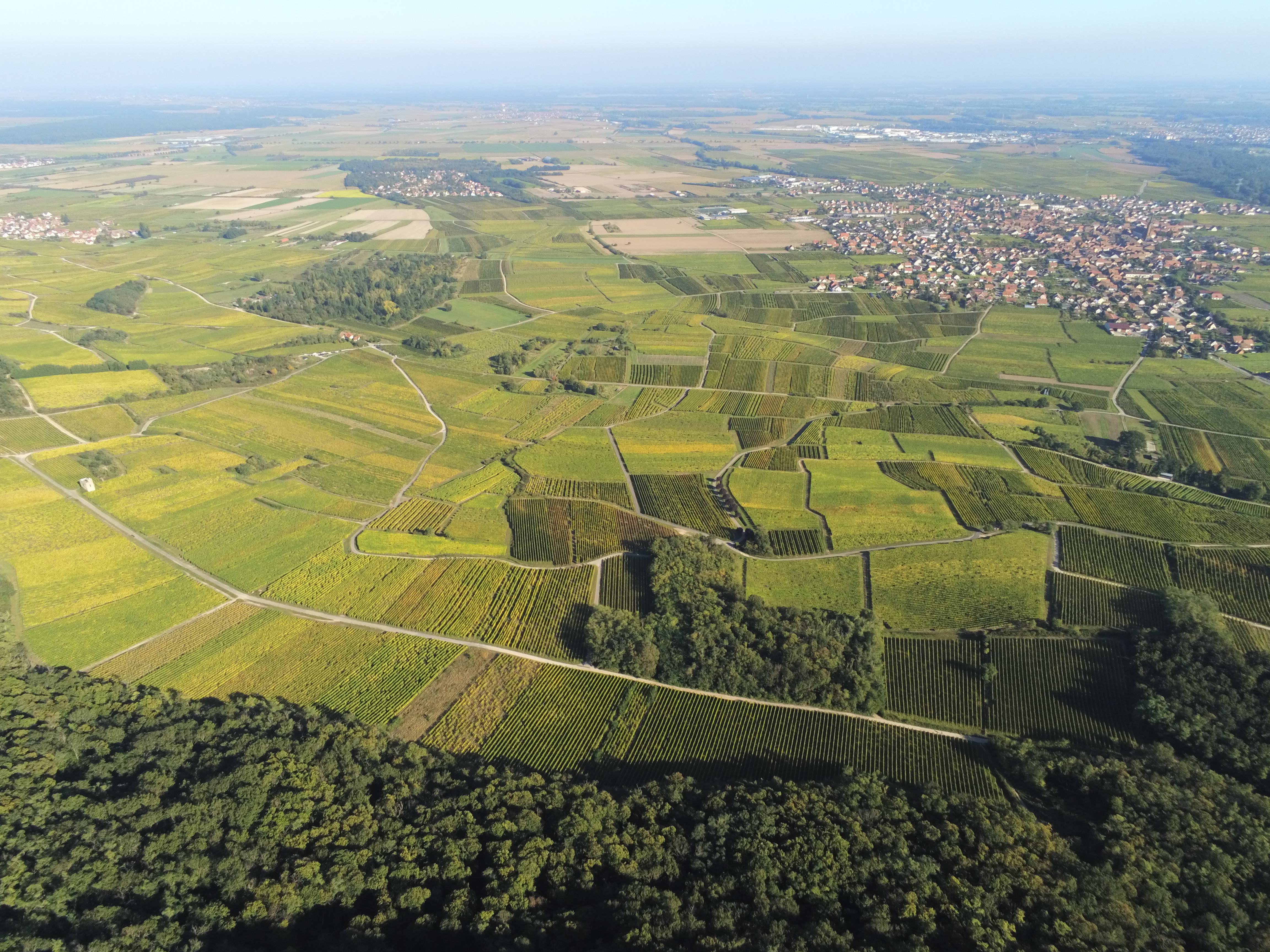 Photo n° 11 de l'avis de Céline,.a fait le 10/10/2021 à 19:13