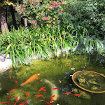 Photo n°1 de l'avis de Mariaelena.a fait le 12/02/2022 à 21:14 sur le  Trattoria La Nuova Rustica à Cantù