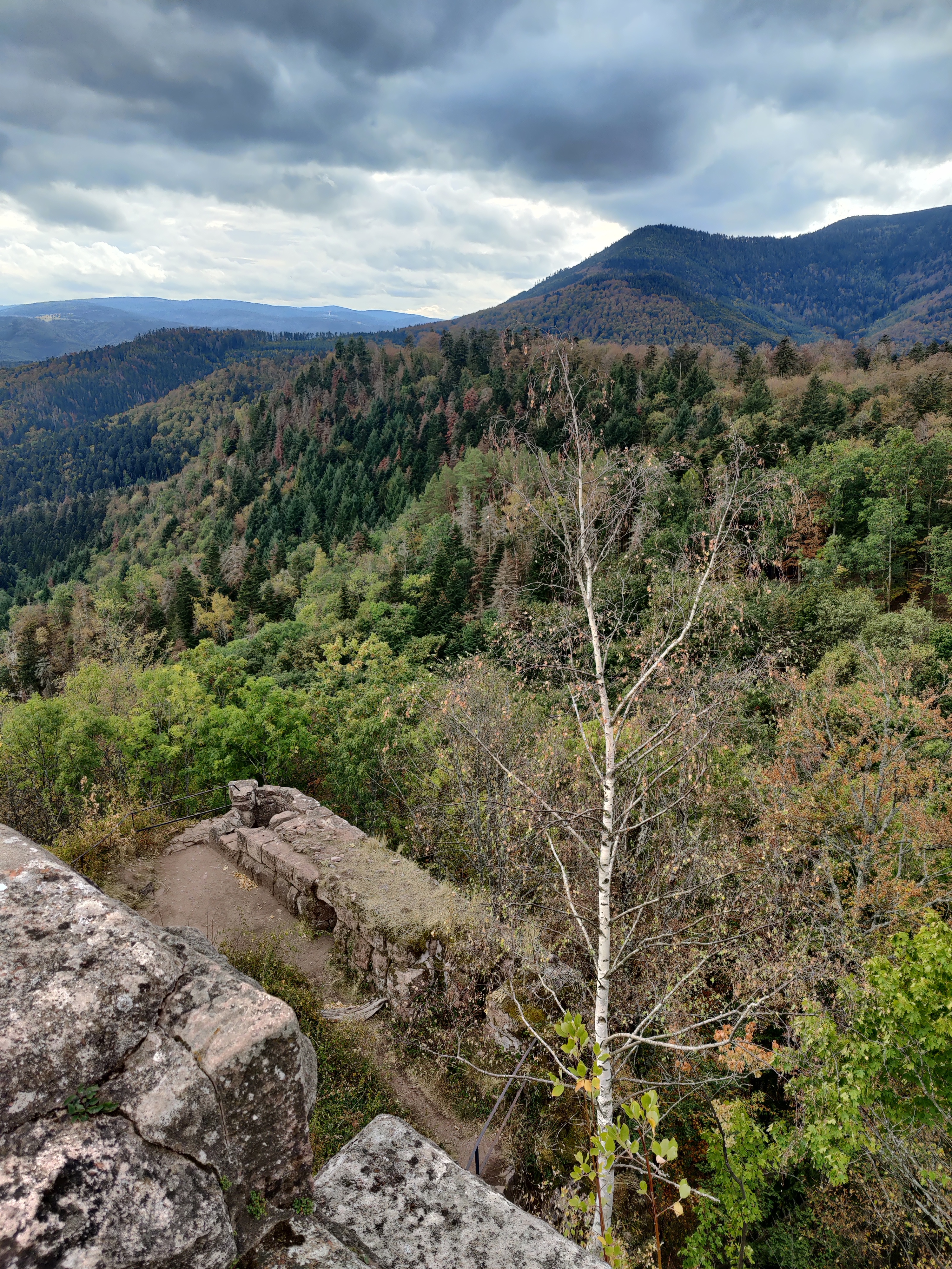 Photo n° 3 de l'avis de Yolande.A fait le 25/09/2020 à 07:38